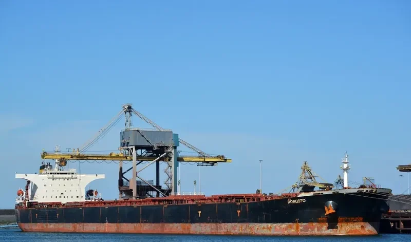 ROBUSTO Bulk Carrier IMO 9386512