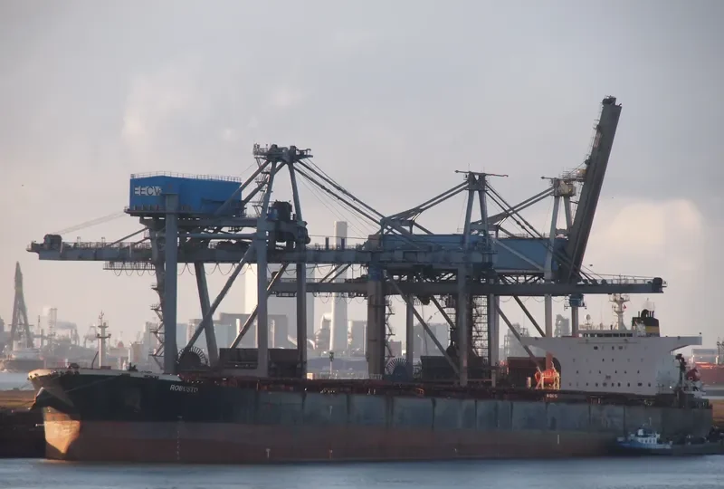 ROBUSTO Bulk Carrier IMO 9386512 photo 5