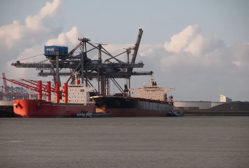 ROBUSTO Bulk Carrier IMO 9386512 photo 6