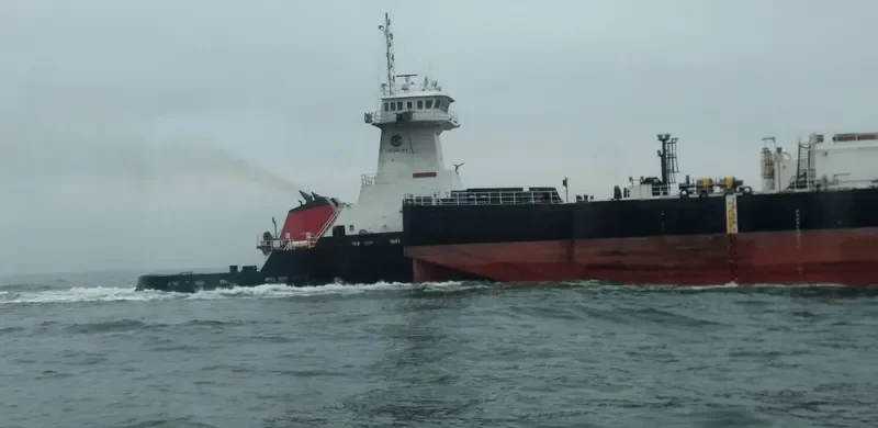 PACIFIC RELIANCE General Cargo IMO 9386548