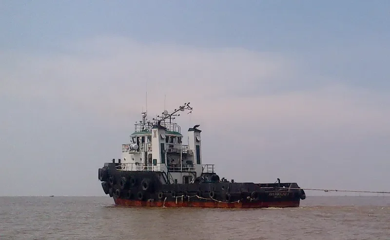 WM FORTUNE I General Cargo IMO 9386641