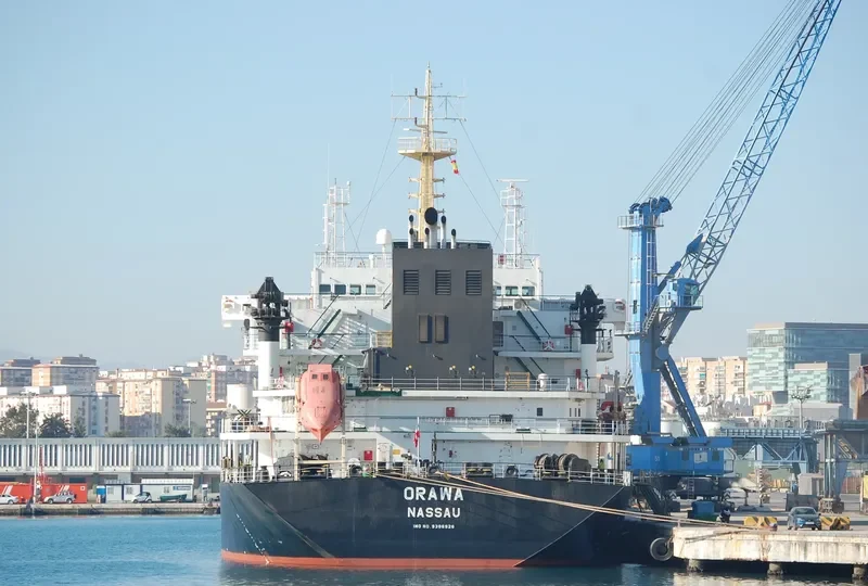 ORAWA Bulk Carrier IMO 9386926 photo 7