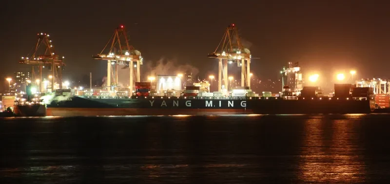 YM LOS ANGELES Container Ship IMO 9387102 photo 8