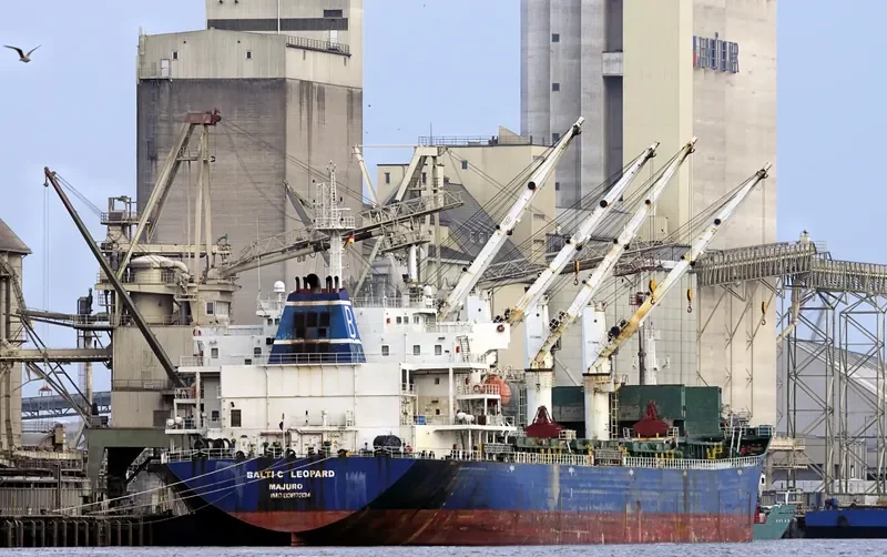 BALTIC LEOPARD Bulk Carrier IMO 9387334
