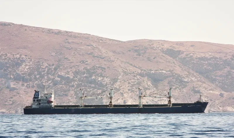 BALTIC LEOPARD Bulk Carrier IMO 9387334 photo 2