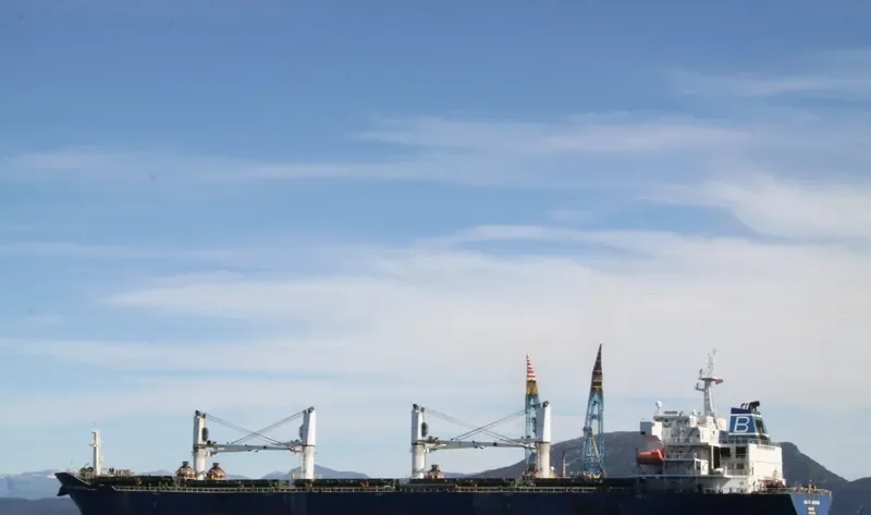 BALTIC LEOPARD Bulk Carrier IMO 9387334 photo 4