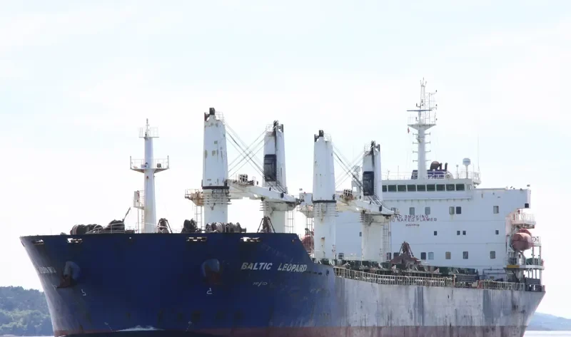BALTIC LEOPARD Bulk Carrier IMO 9387334 photo 8