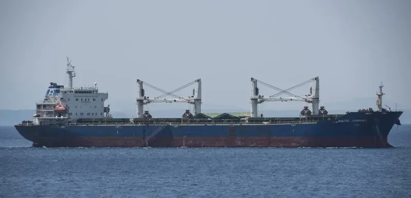 BALTIC LEOPARD Bulk Carrier IMO 9387334 photo 9