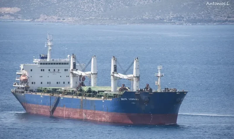 BALTIC LEOPARD Bulk Carrier IMO 9387334 photo 10