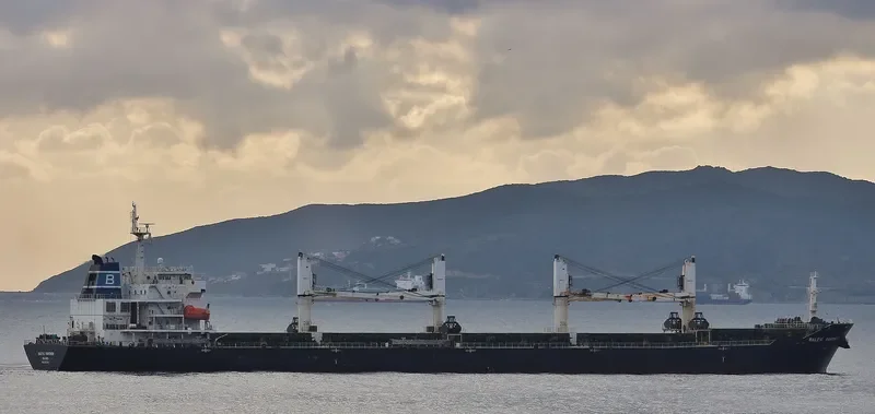 QI SHUN Bulk Carrier IMO 9387346