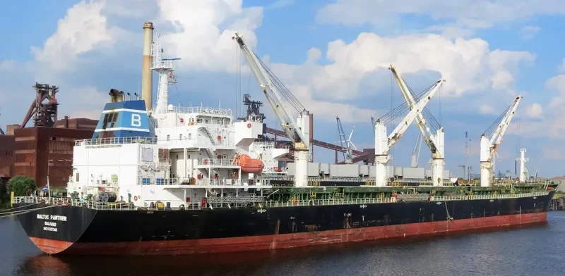 QI SHUN Bulk Carrier IMO 9387346 photo 2