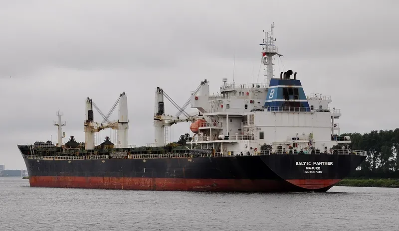 QI SHUN Bulk Carrier IMO 9387346 photo 3