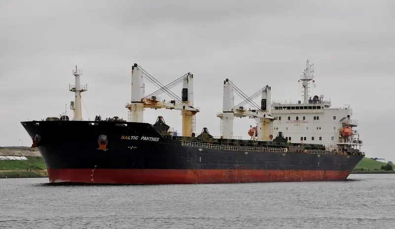 QI SHUN Bulk Carrier IMO 9387346 photo 4