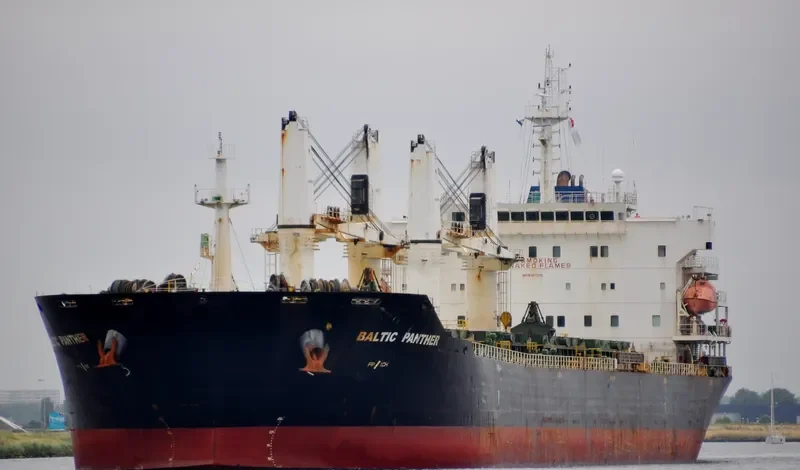 QI SHUN Bulk Carrier IMO 9387346 photo 5