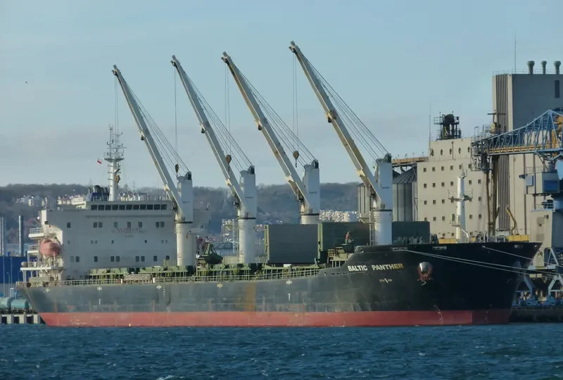 QI SHUN Bulk Carrier IMO 9387346 photo 10