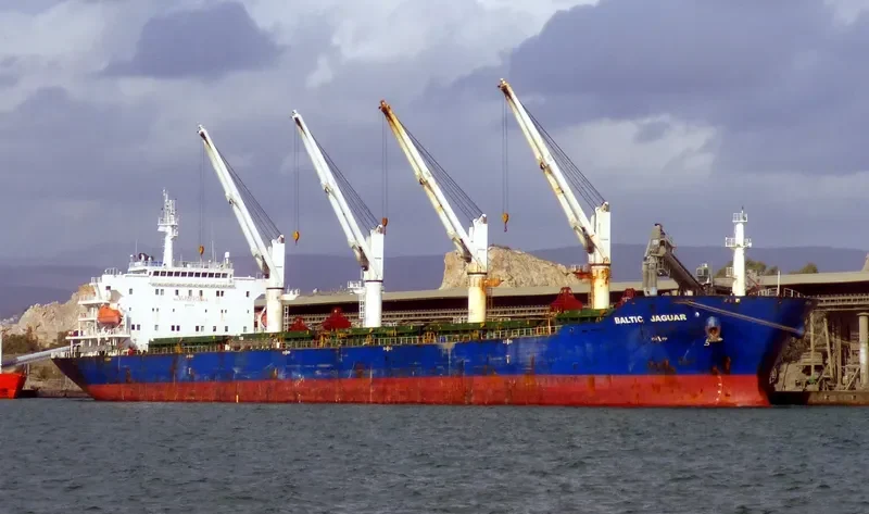 LOTUS G Bulk Carrier IMO 9387360