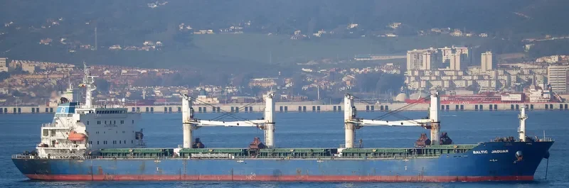 LOTUS G Bulk Carrier IMO 9387360 photo 3