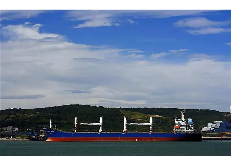 LOTUS G Bulk Carrier IMO 9387360 photo 6