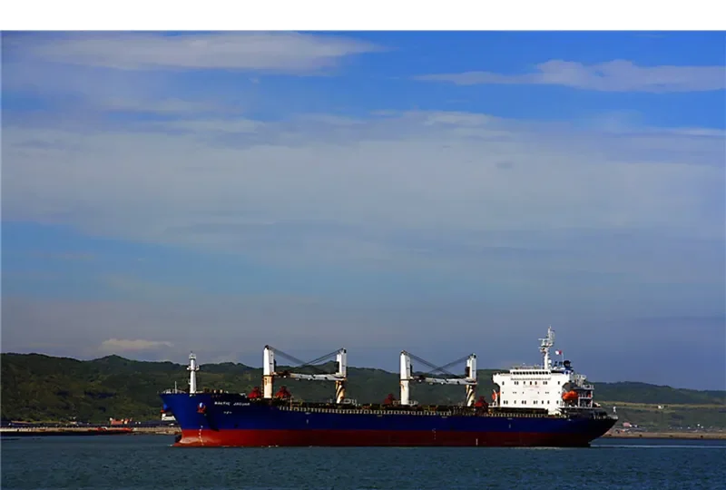 LOTUS G Bulk Carrier IMO 9387360 photo 7