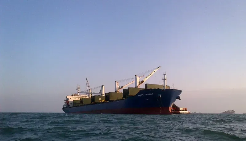 LOTUS G Bulk Carrier IMO 9387360 photo 8