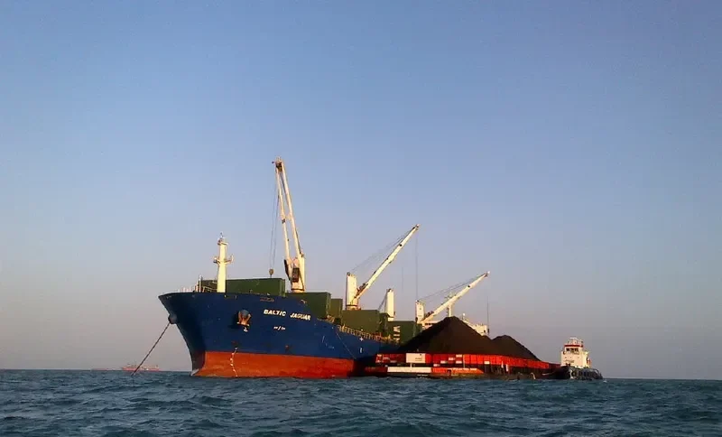 LOTUS G Bulk Carrier IMO 9387360 photo 9