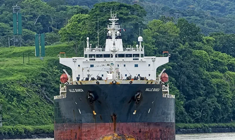 VALLE BIANCA Tanker IMO 9387580 photo 6