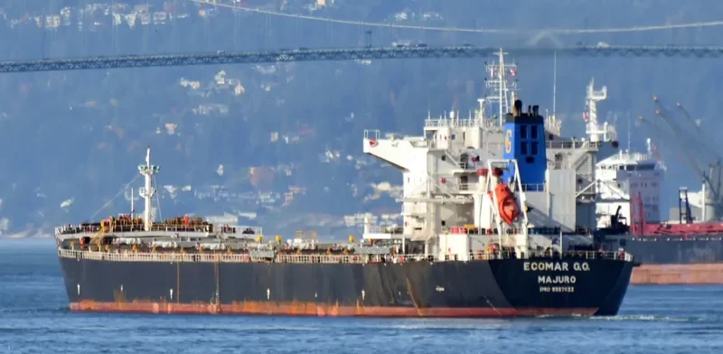 IVESTOS 7 Bulk Carrier IMO 9387633 photo 3