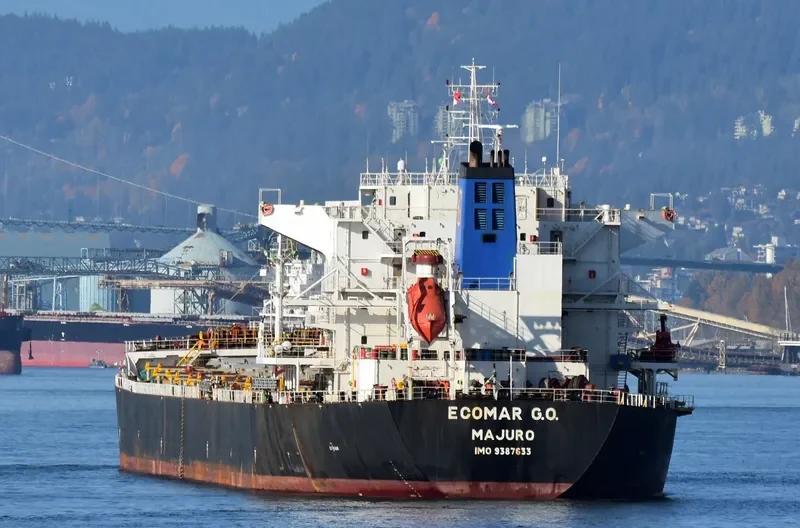 IVESTOS 7 Bulk Carrier IMO 9387633 photo 4