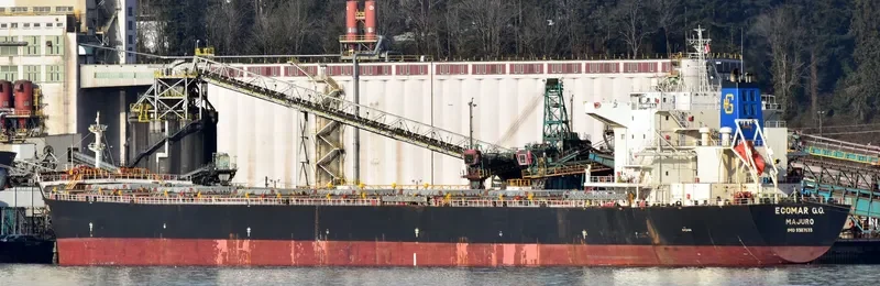 IVESTOS 7 Bulk Carrier IMO 9387633 photo 6