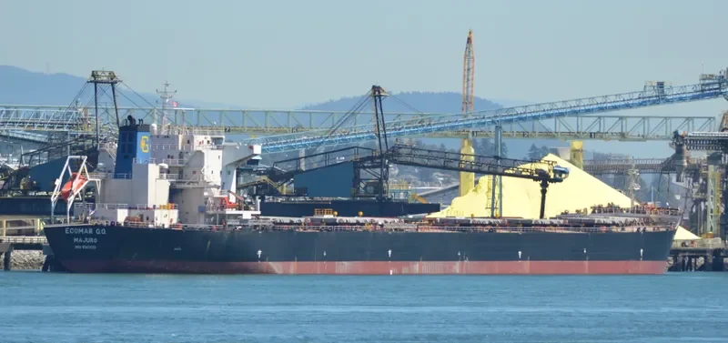 IVESTOS 7 Bulk Carrier IMO 9387633 photo 10