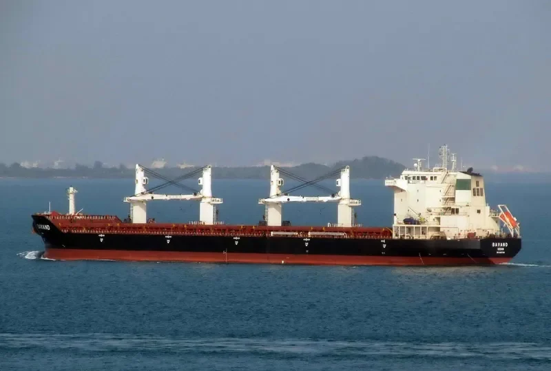 BAVAND Bulk Carrier IMO 9387798
