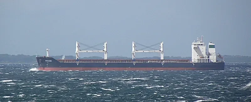 BAVAND Bulk Carrier IMO 9387798 photo 6