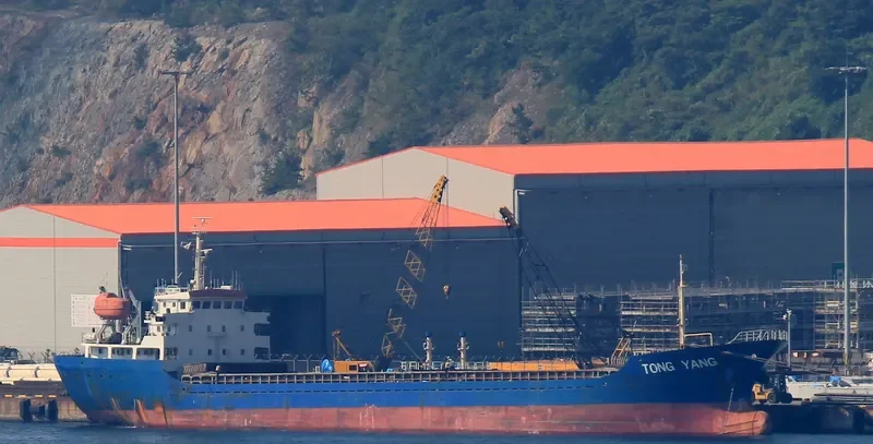 TONG YANG General Cargo IMO 9387968