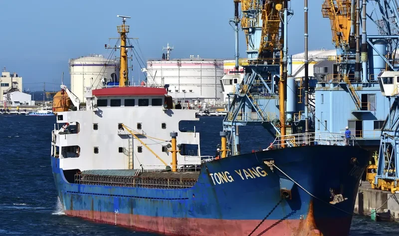 TONG YANG General Cargo IMO 9387968 photo 5