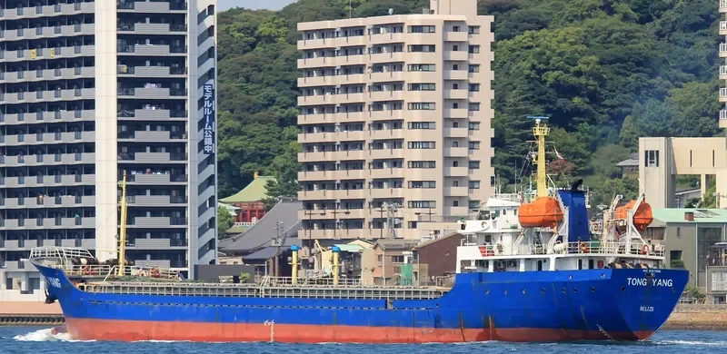 TONG YANG General Cargo IMO 9387968 photo 8