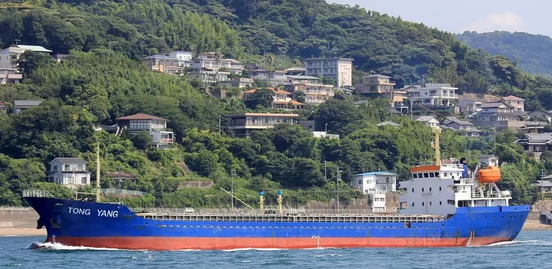 TONG YANG General Cargo IMO 9387968 photo 10