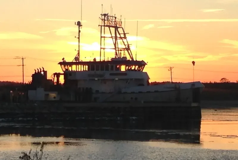 SHARP General Cargo IMO 9388443 photo 3