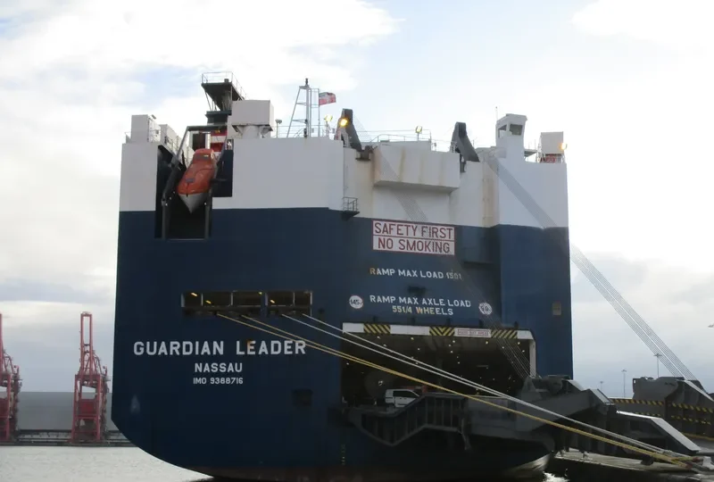 GUARDIAN LEADER General Cargo IMO 9388716 photo 7