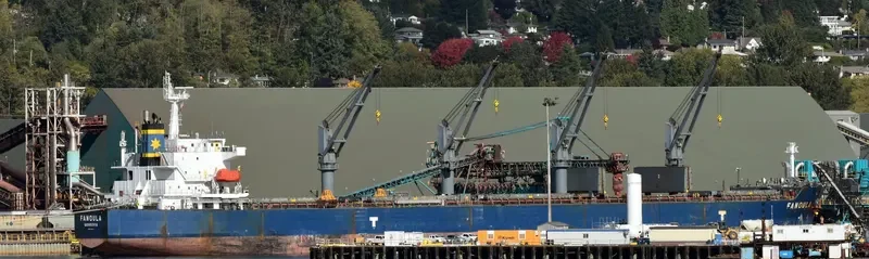 FANOULA Bulk Carrier IMO 9389112