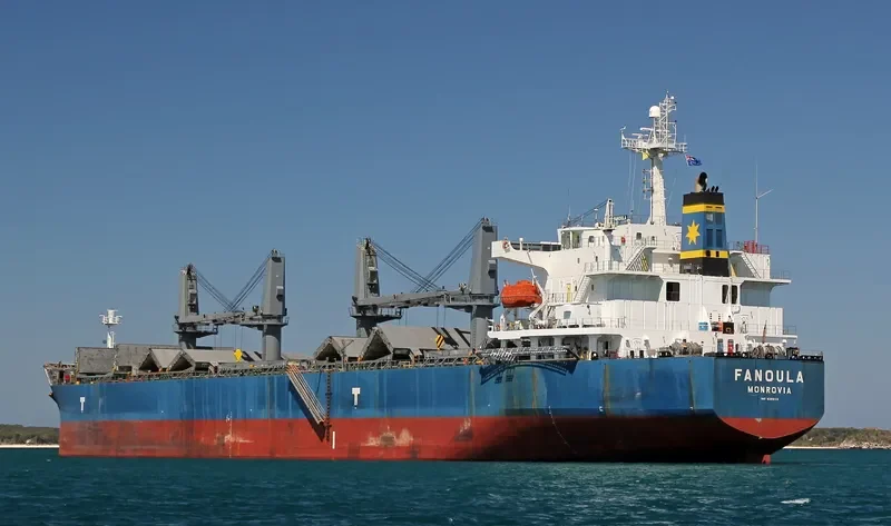 FANOULA Bulk Carrier IMO 9389112 photo 3