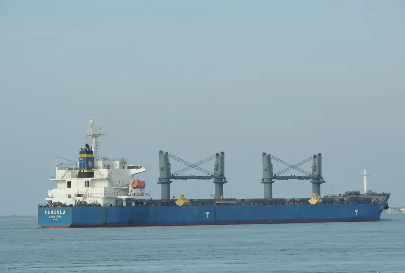 FANOULA Bulk Carrier IMO 9389112 photo 5
