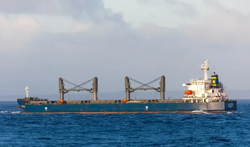 LARA Bulk Carrier IMO 9389124 photo 3