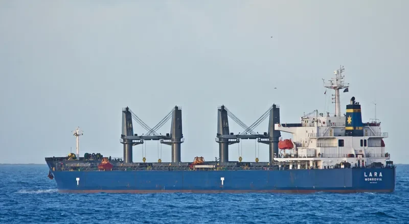 LARA Bulk Carrier IMO 9389124 photo 5