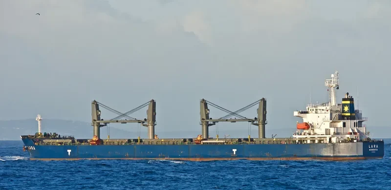 LARA Bulk Carrier IMO 9389124 photo 6