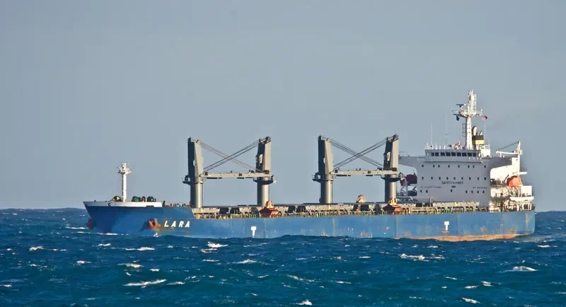 LARA Bulk Carrier IMO 9389124 photo 8