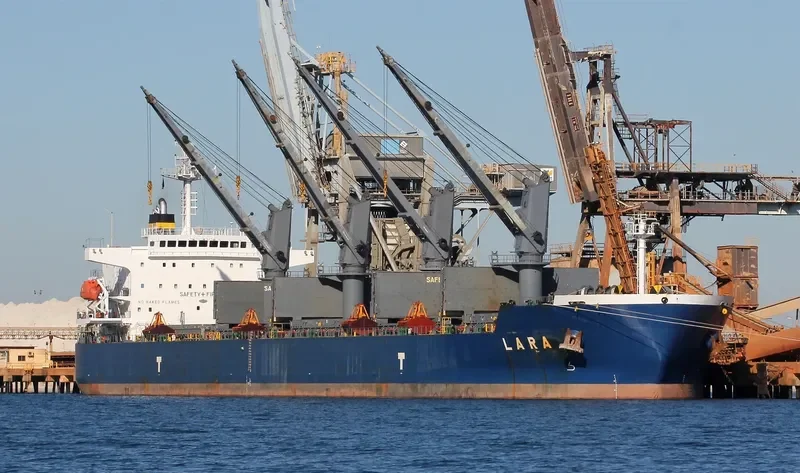 LARA Bulk Carrier IMO 9389124 photo 9