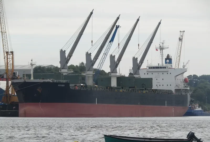 ANASA Bulk Carrier IMO 9389215 photo 8