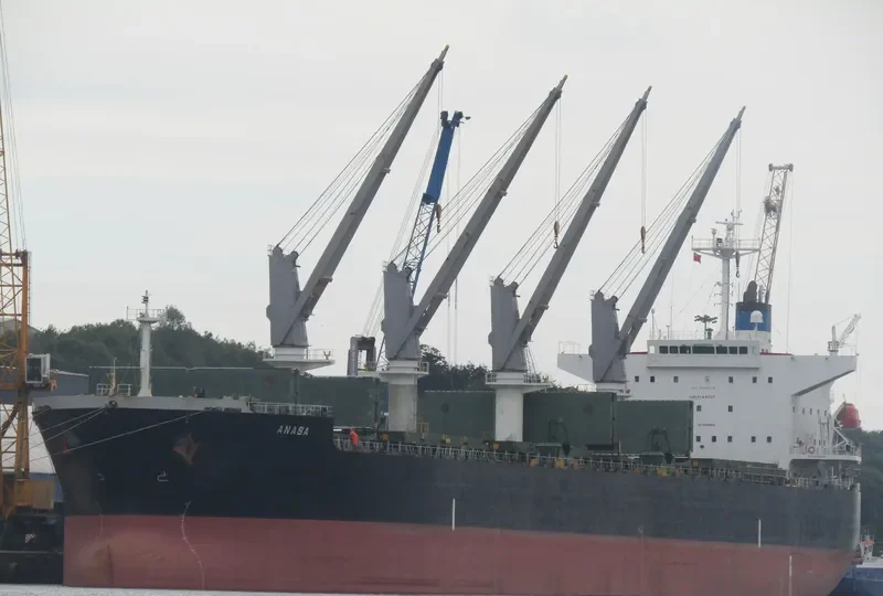 ANASA Bulk Carrier IMO 9389215 photo 9