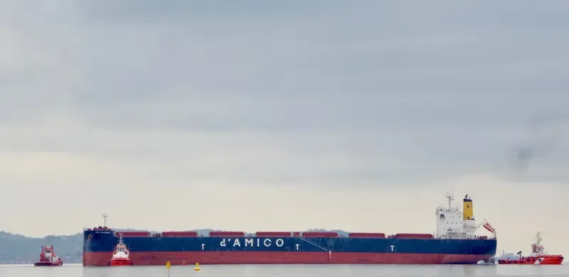 ASL MOON Bulk Carrier IMO 9389239