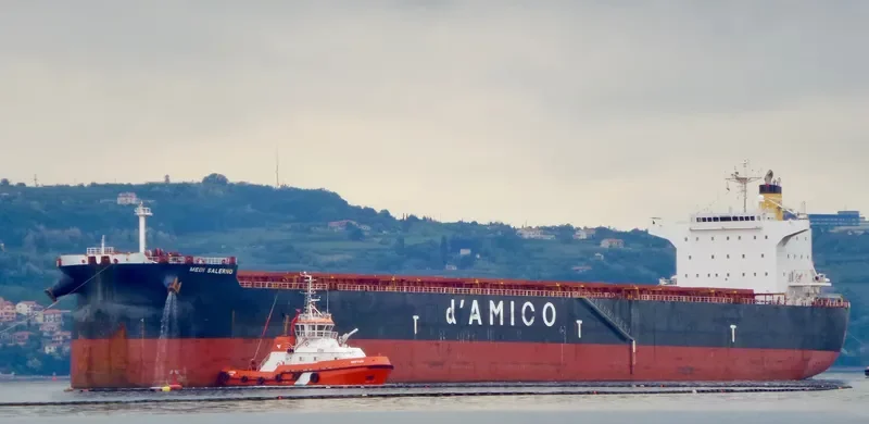 ASL MOON Bulk Carrier IMO 9389239 photo 2